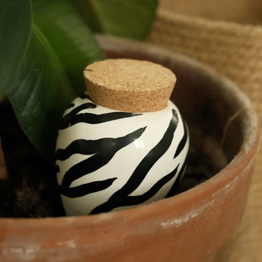 Oil - Zebra