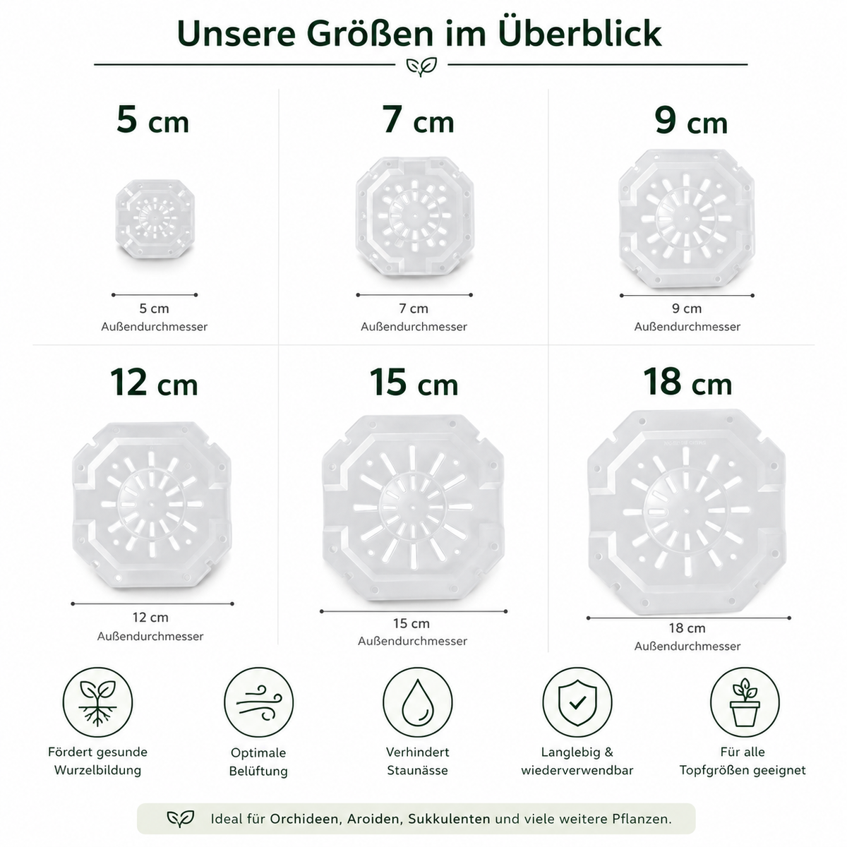 Durchsichtige Aroid Töpfe