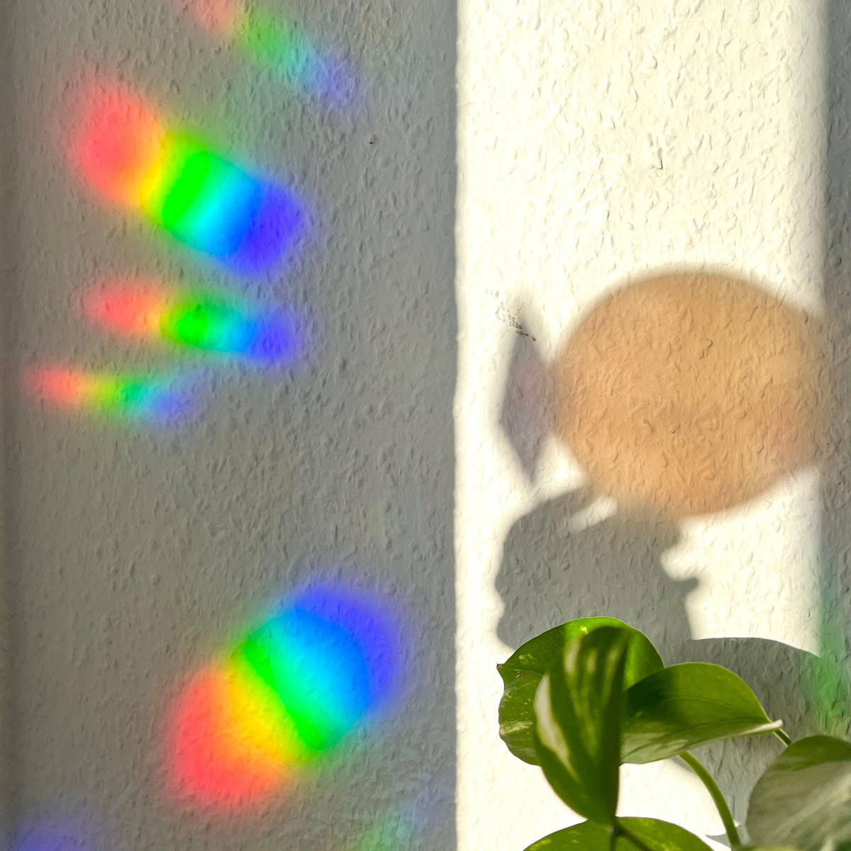 Sun Catcher Sticker - Tarotkarte The Plantlover