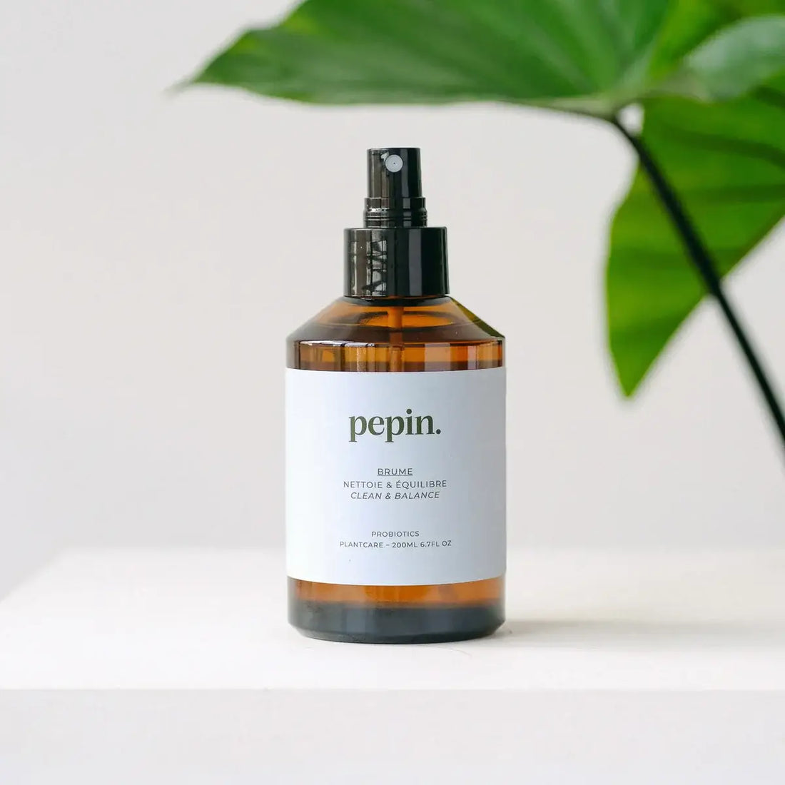 Reinigungsspray für Pflanzen