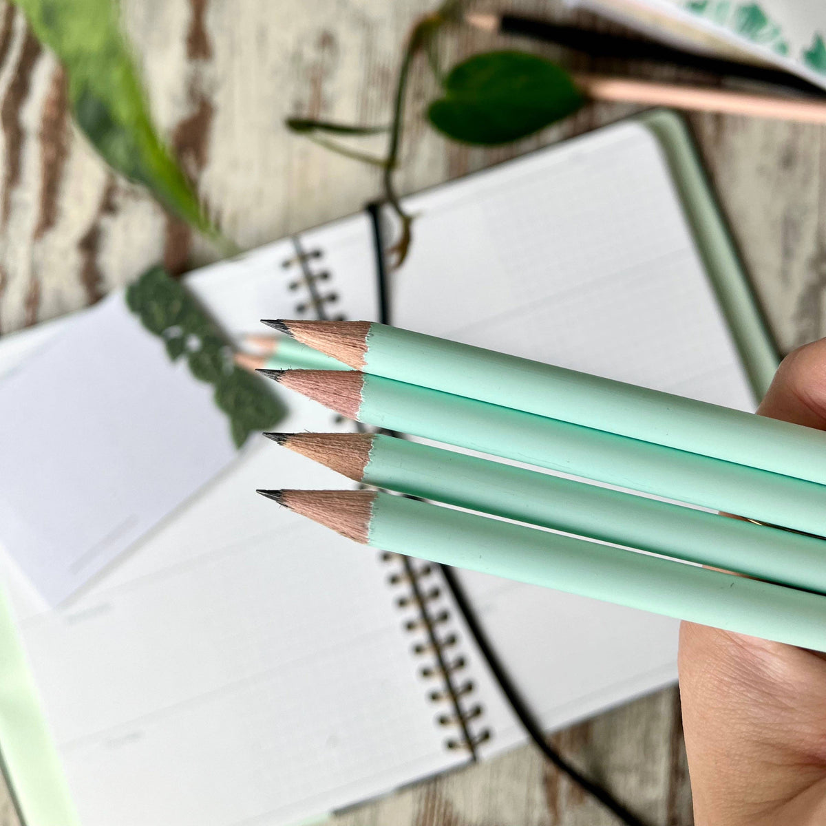 Mint Bleistift mit Gravur &