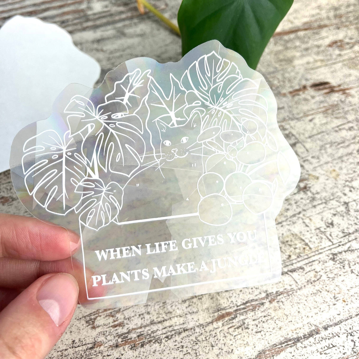 Sun Catcher Sticker - When Life gives you plants, Katze