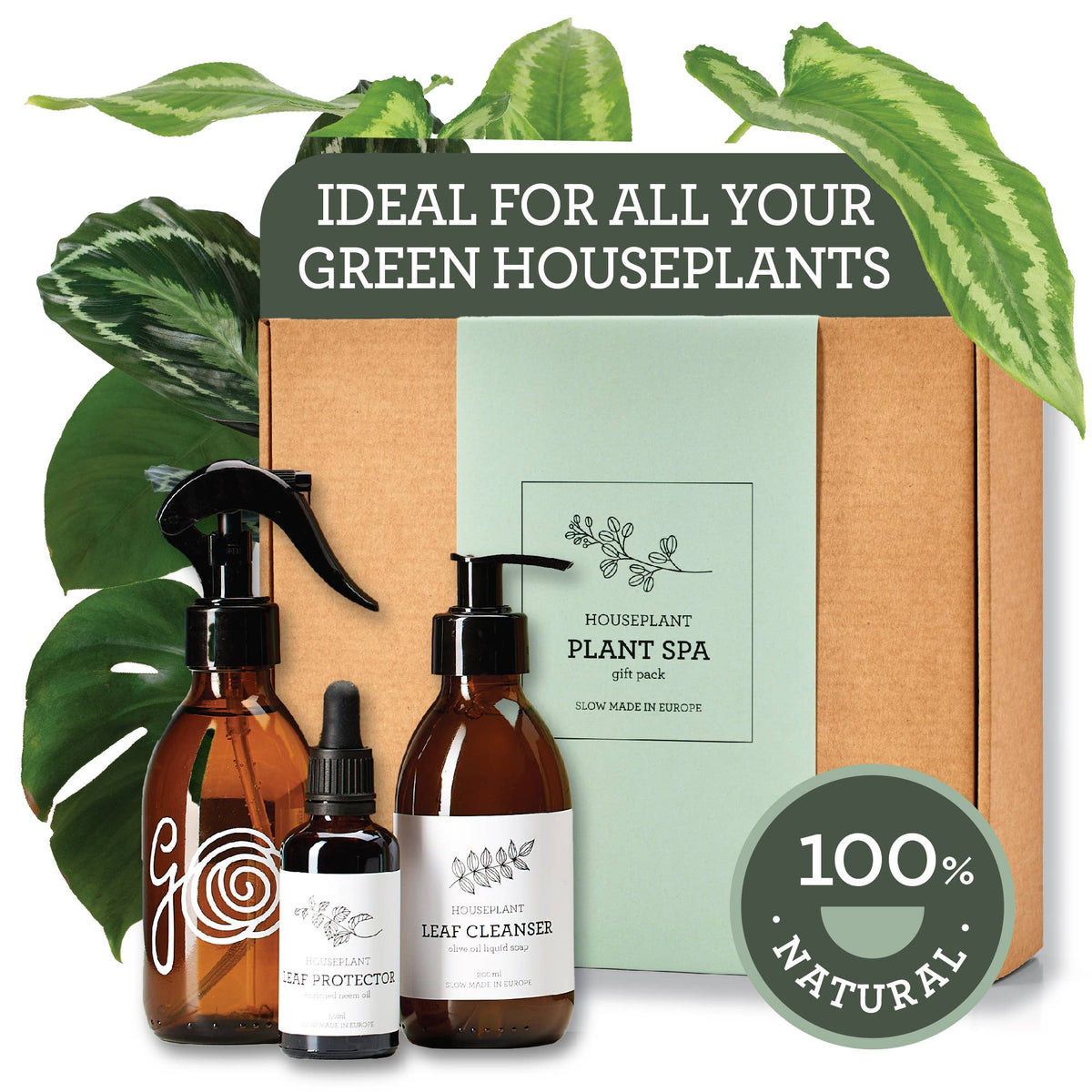 Plant SPA Geschenkset