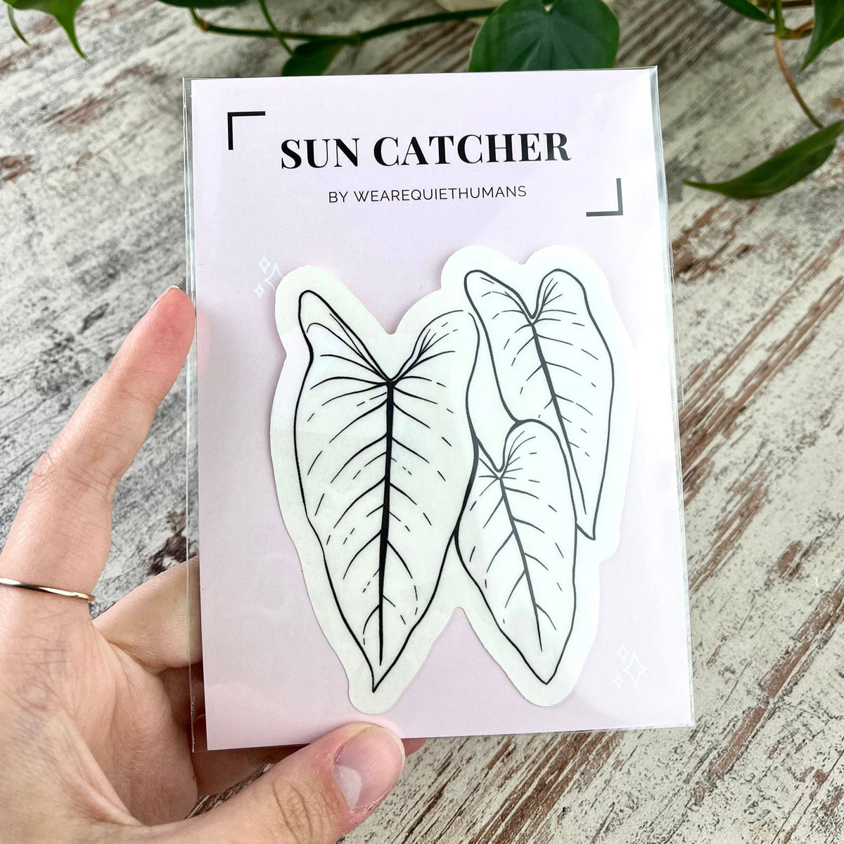 Sun Catcher Sticker - Philodendron