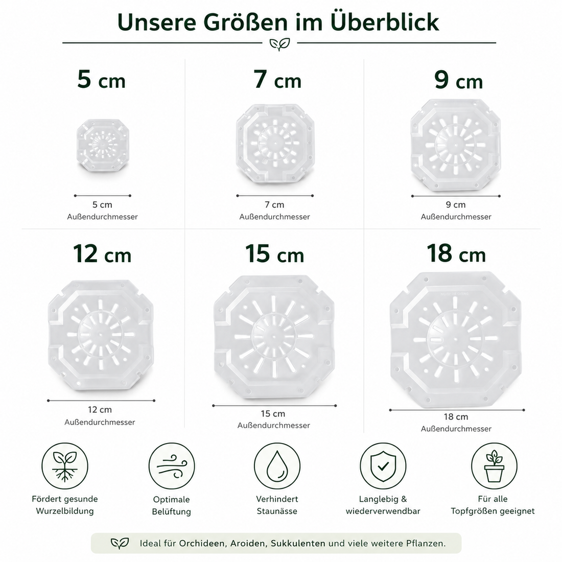 Durchsichtige Aroid Töpfe