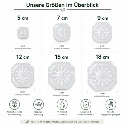 Durchsichtige Aroid Töpfe