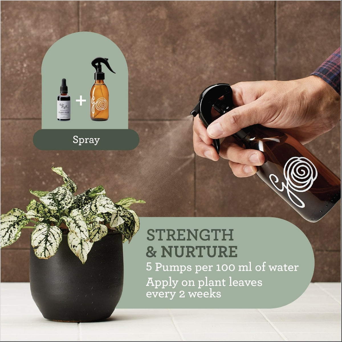 Plant food - Organic liquid fertilizer