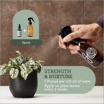 Plant food - Organic liquid fertilizer