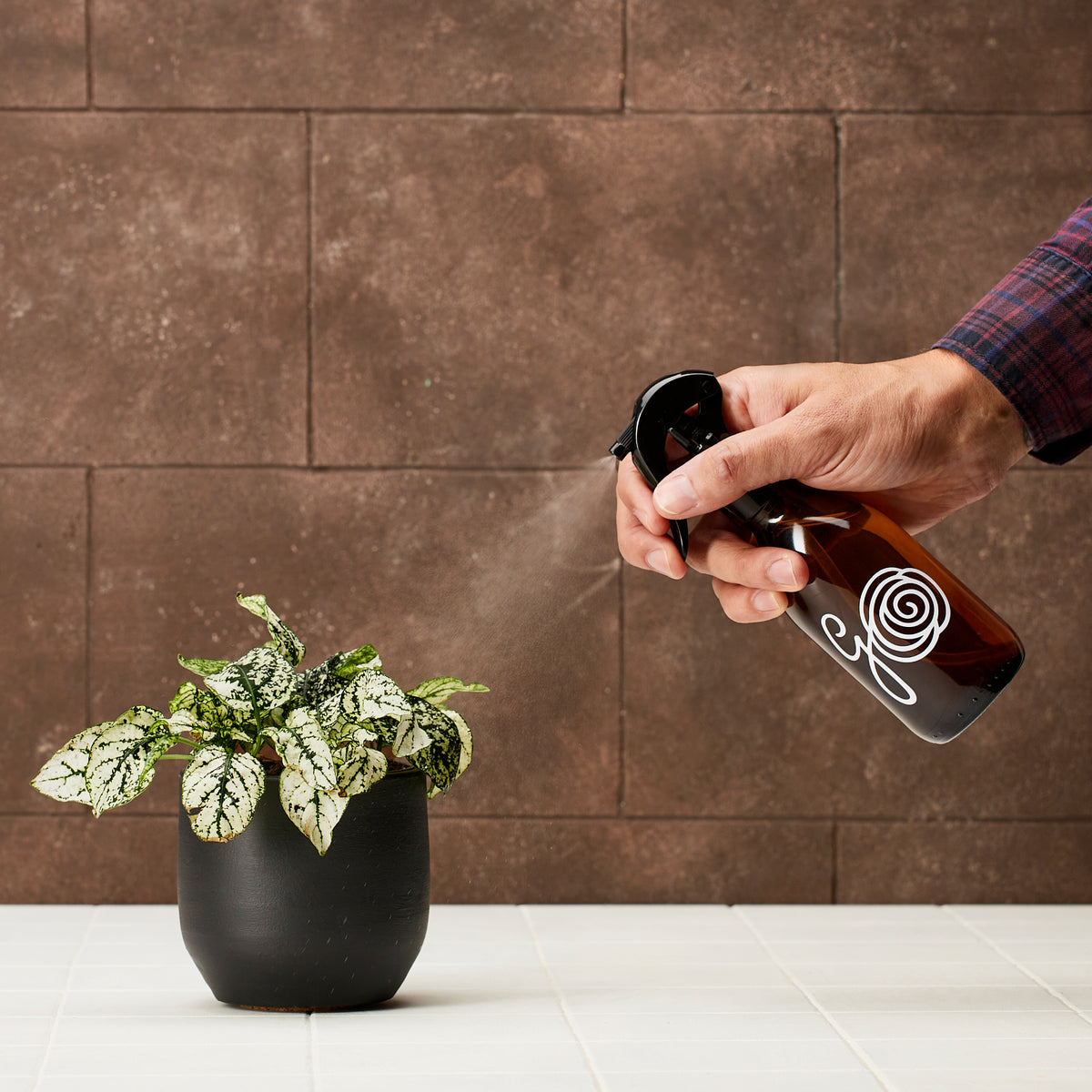 Sprühflasche für die Pflanzenpflege 200ml