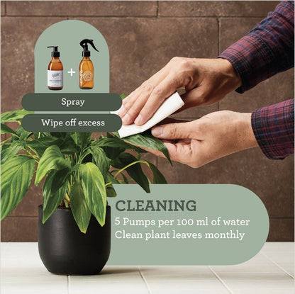 Natürliche Pflanzenseife | Leaf Cleanser Olivenölseife 200 ml