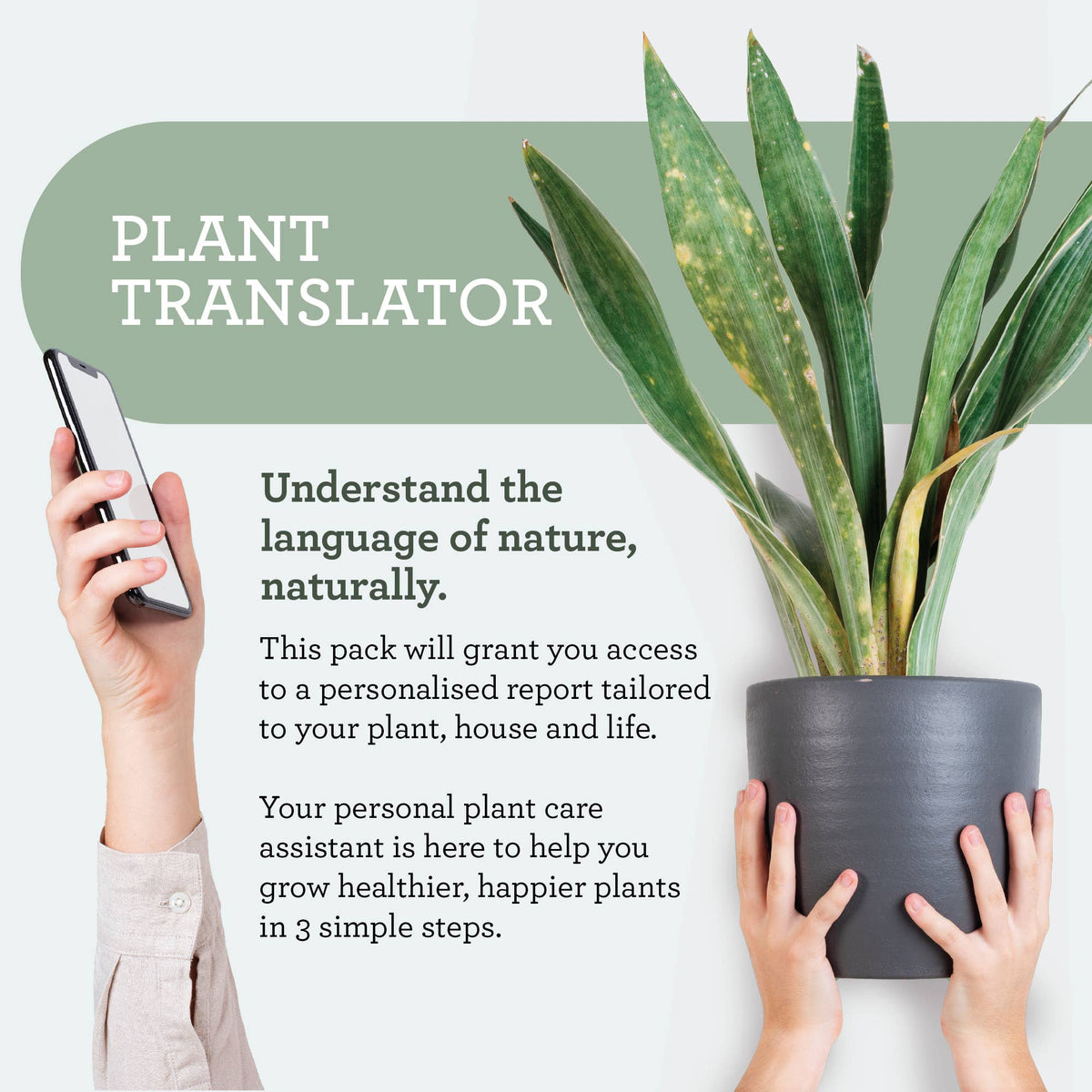 PLANT NURTURE KIT | Geschenkset für Pflanzenpflege