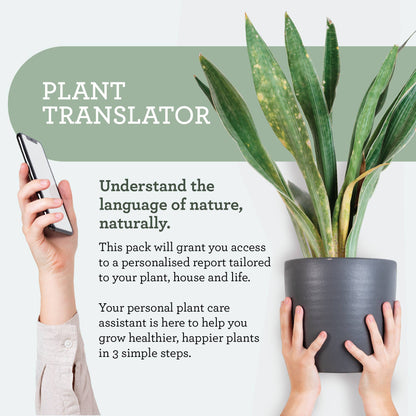 PLANT NURTURE KIT | Geschenkset für Pflanzenpflege