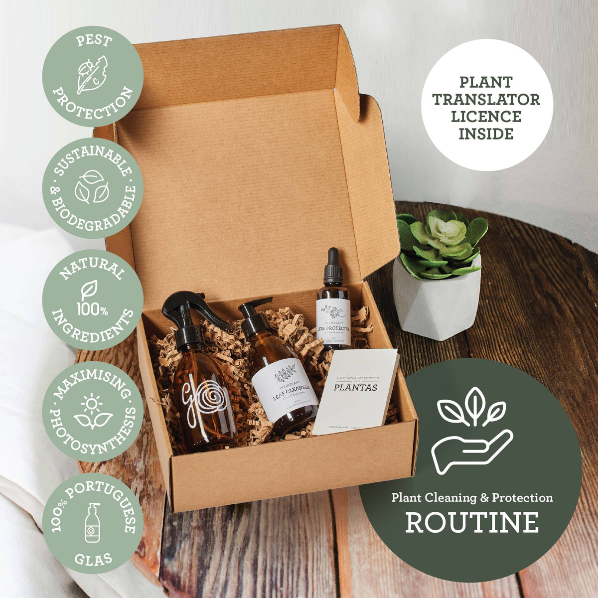 Plant SPA Geschenkset