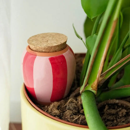 Olla - Gestreift rot und rosa