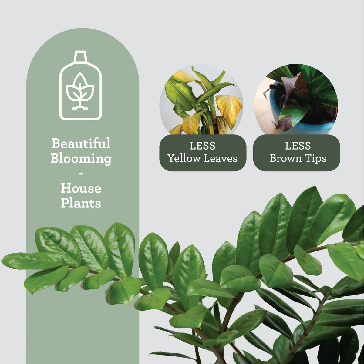 PLANT NURTURE KIT | Geschenkset für Pflanzenpflege