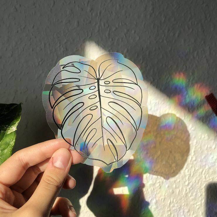 Sun Catcher Sticker - Monstera Deliciosa Blatt