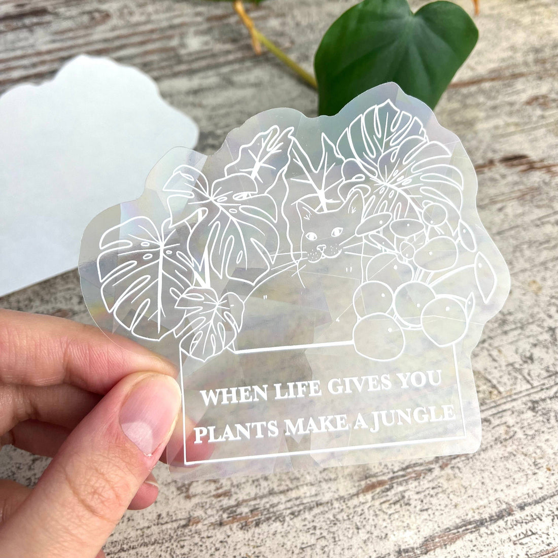 Sun Catcher Sticker - When Life gives you plants, Katze
