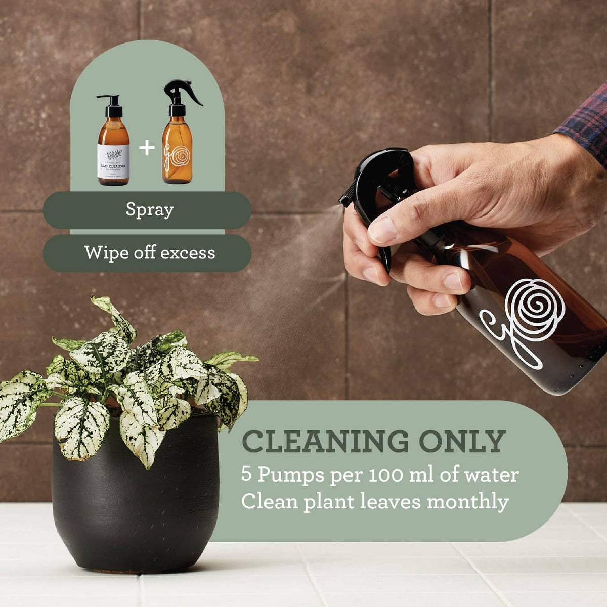 Plant SPA Geschenkset