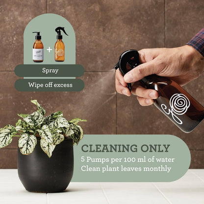Plant SPA Geschenkset